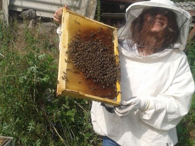 پانسیون Old Tatev