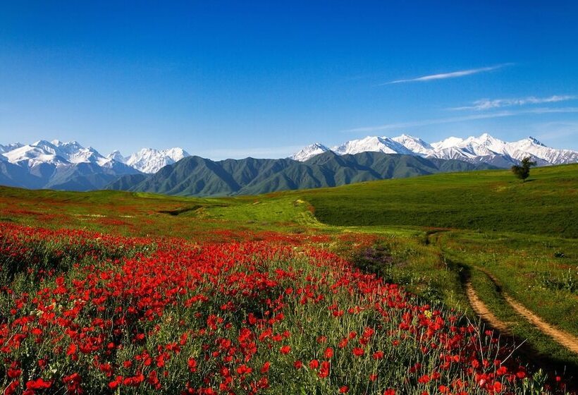 پانسیون Old Tatev