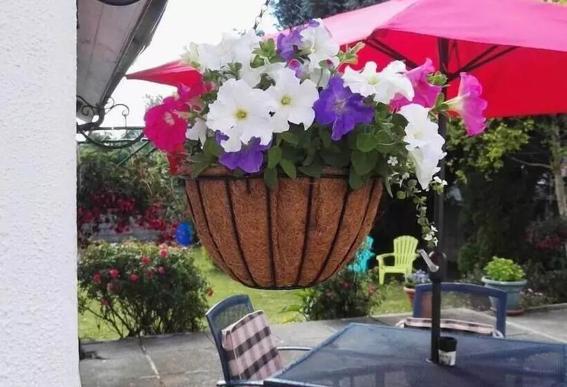 تختخواب و صبحانه The Vee Guest Accommodation