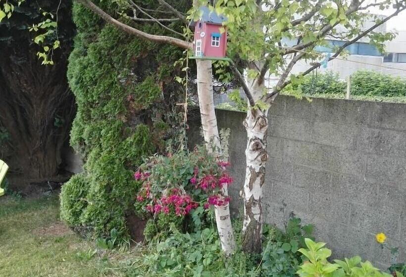 تختخواب و صبحانه The Vee Guest Accommodation