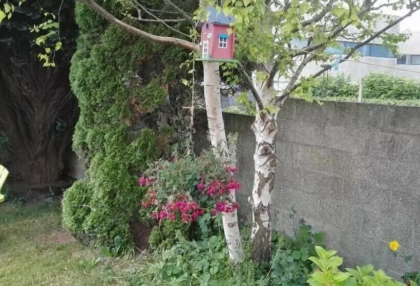 تختخواب و صبحانه The Vee Guest Accommodation