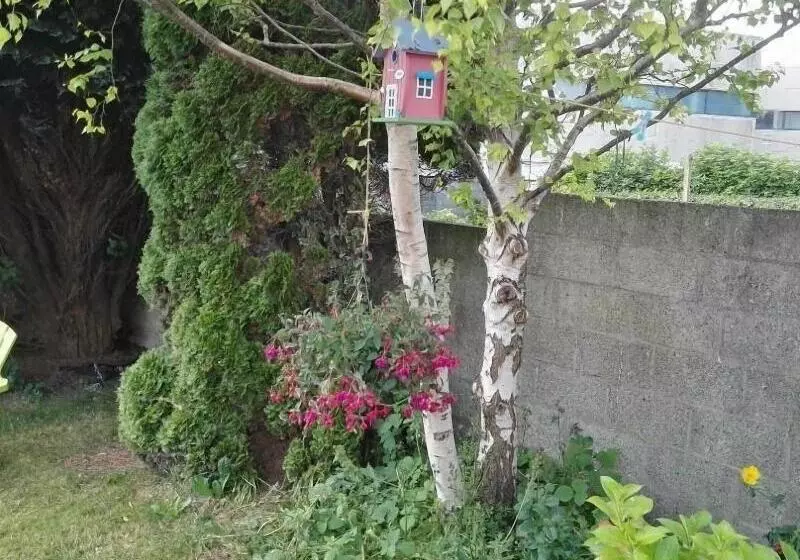 تختخواب و صبحانه The Vee Guest Accommodation