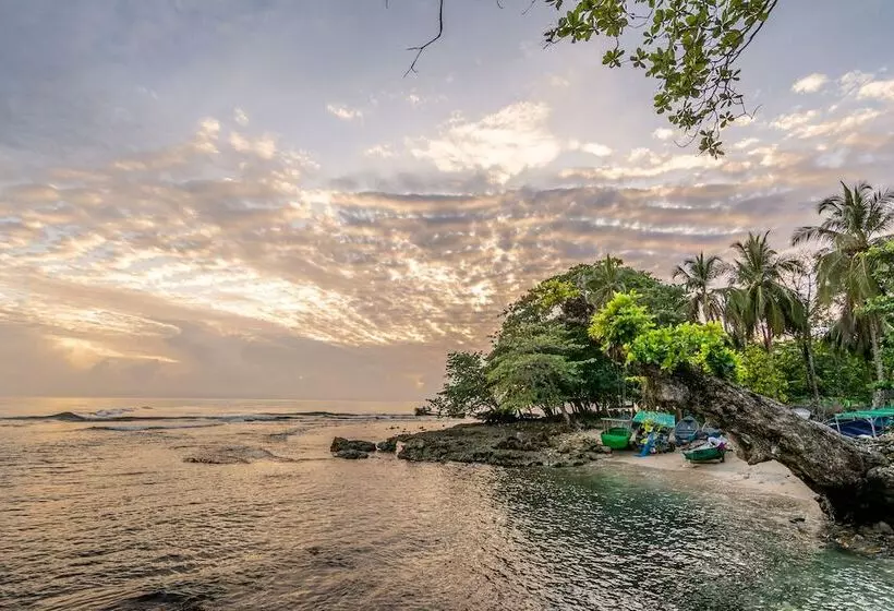 Hotelli Cabinas Arrecife