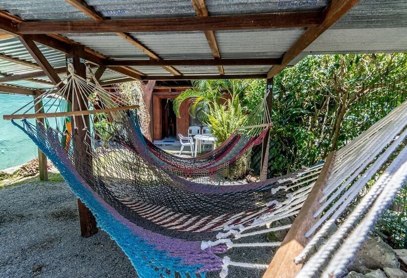 هتل Cabinas Arrecife