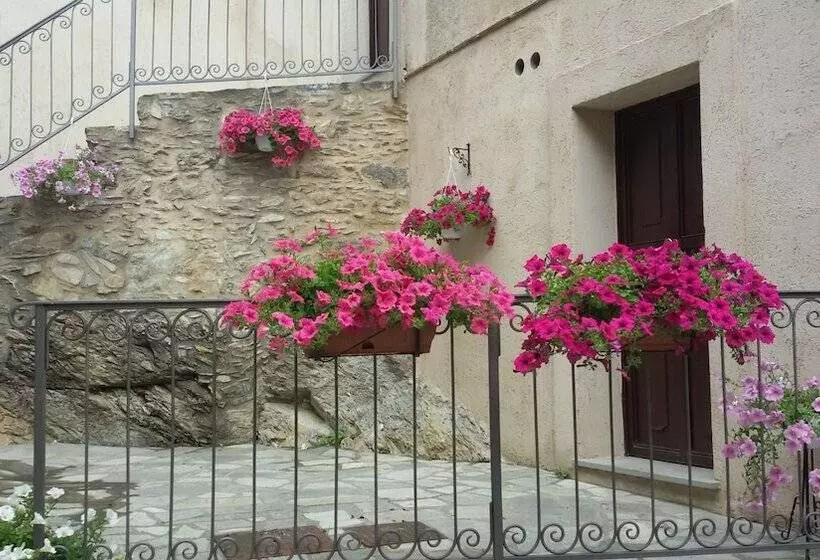 ホテル Palazzo Bruni