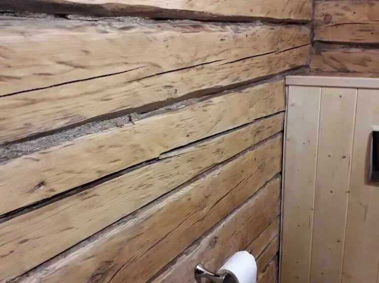 ペンション Karjal Dom