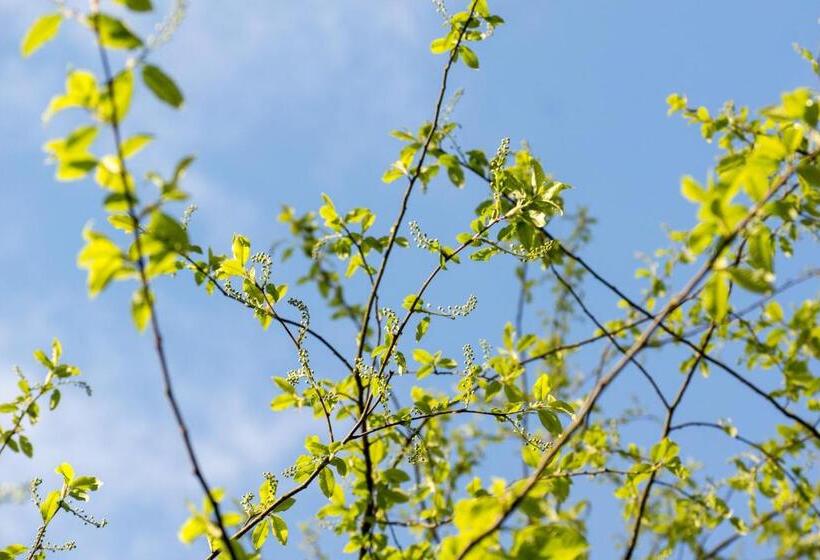 Pension Am Waldesrand