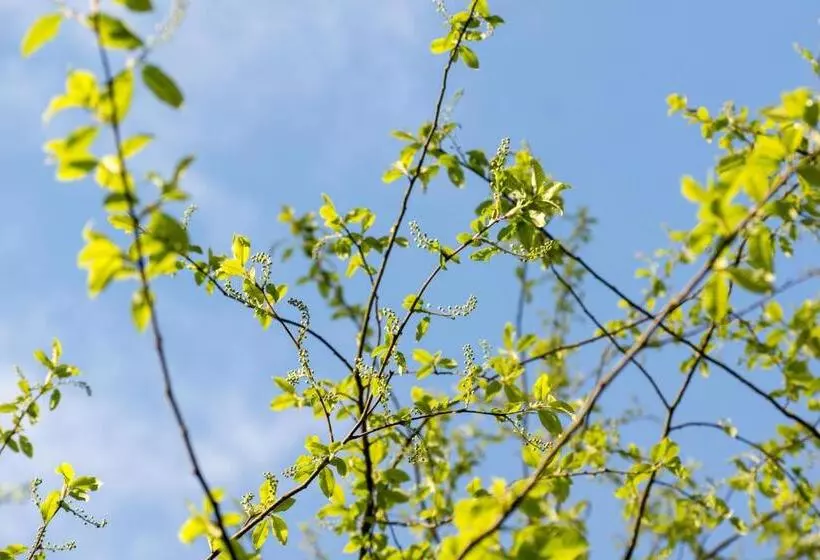 Pension Am Waldesrand