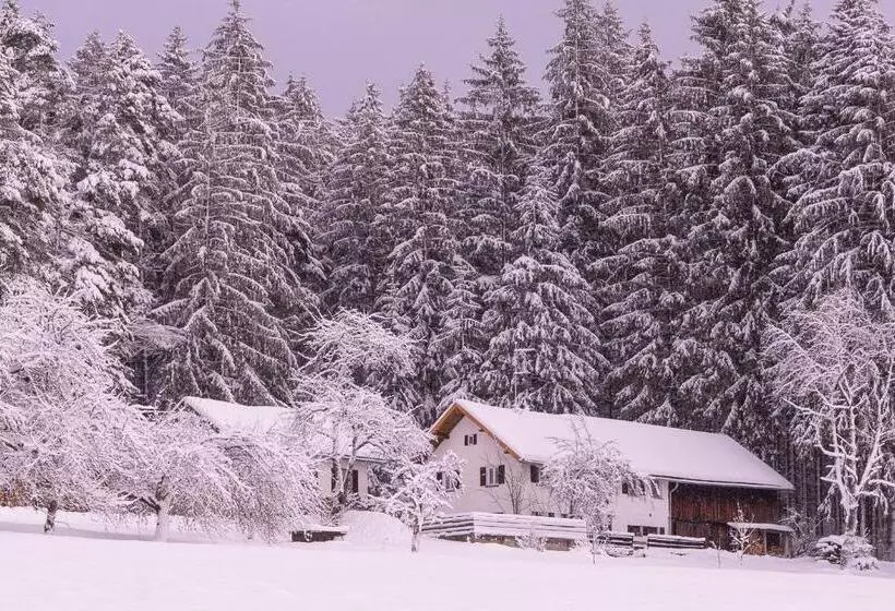 Pension Am Waldesrand