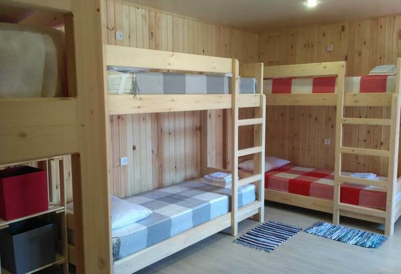 Olvia Guesthouse   Hostel