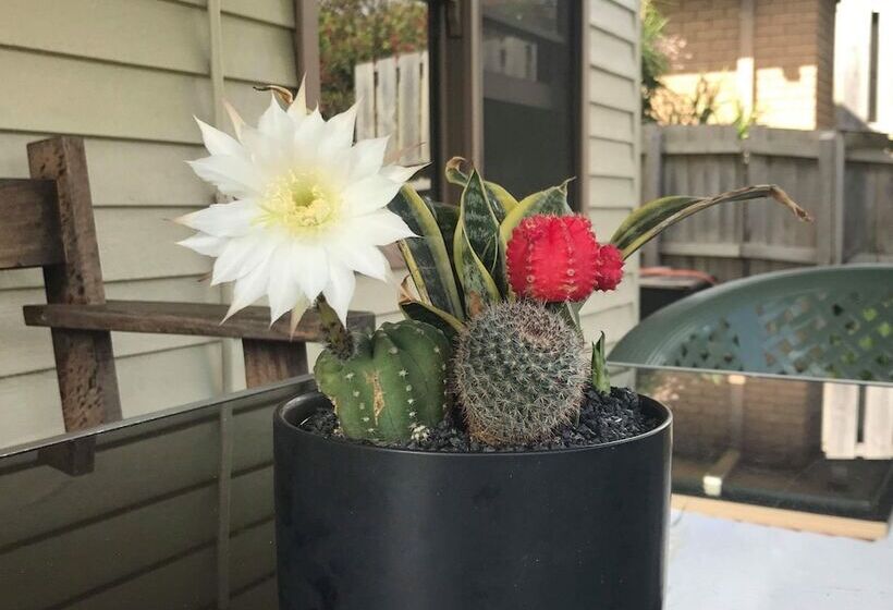 Pensió Port Campbell Guesthouse & Flash Packers