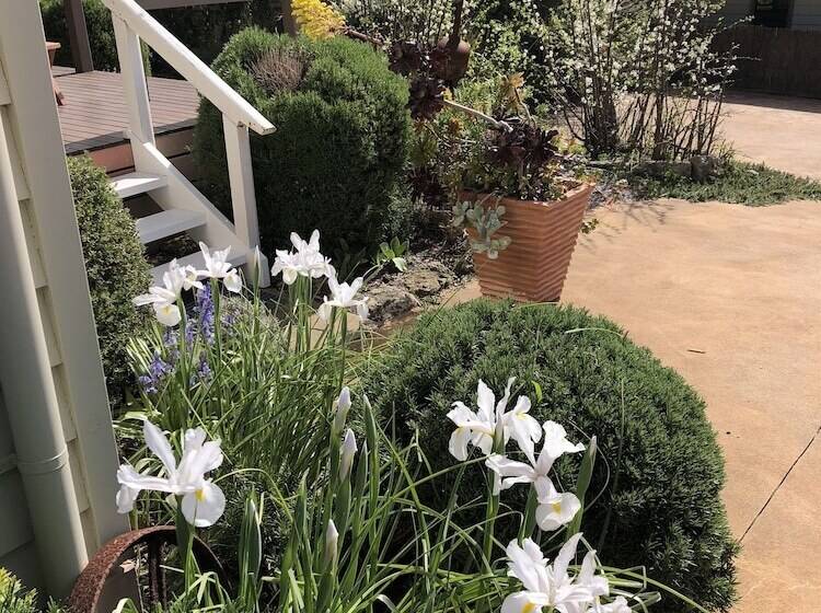 Pensió Port Campbell Guesthouse & Flash Packers