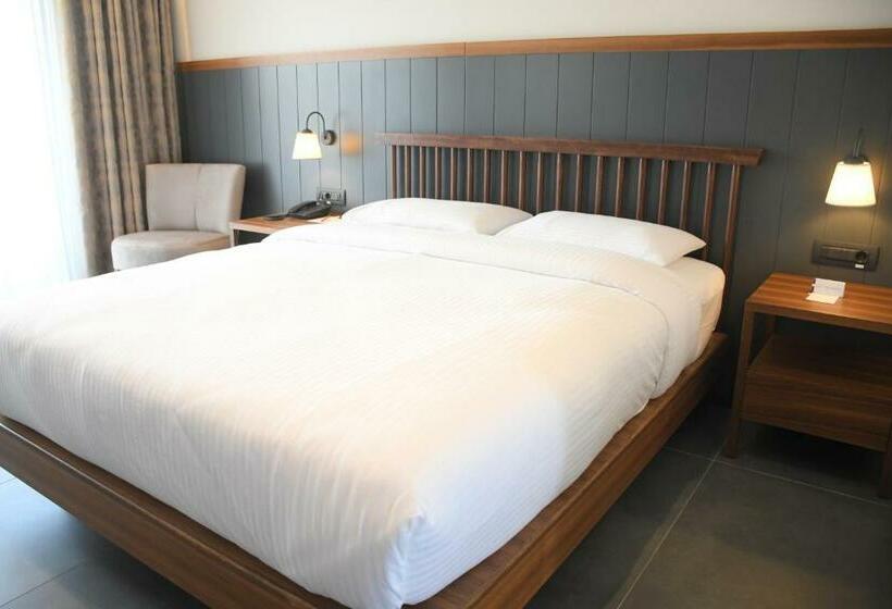 هتل Anemon Aydın