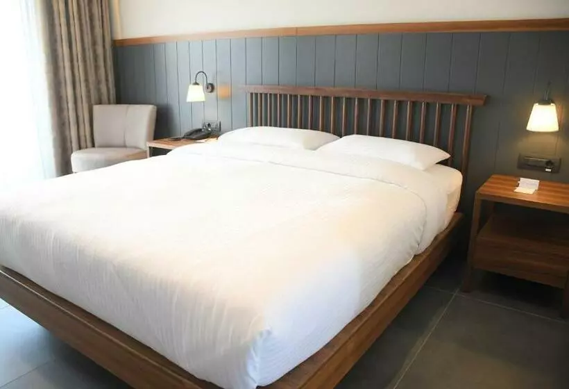 酒店 Anemon Aydın