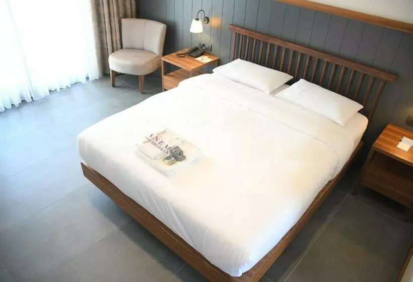 酒店 Anemon Aydın