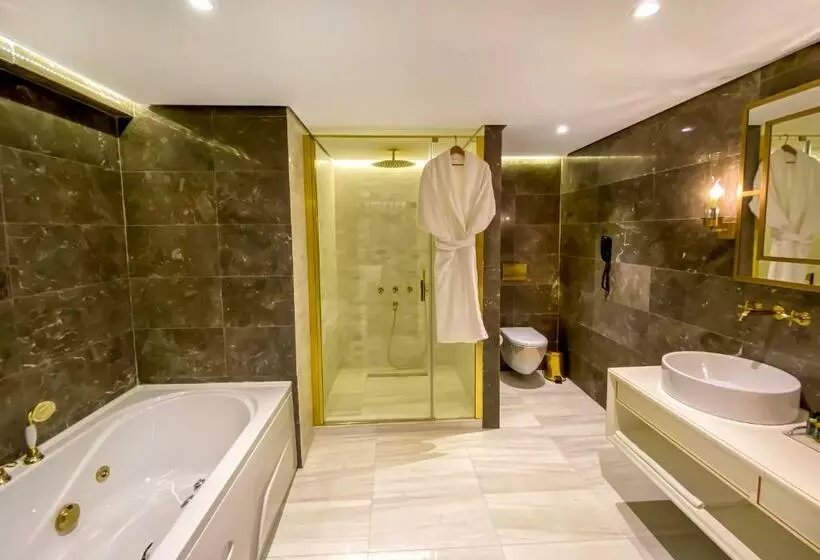 酒店 Anemon Aydın