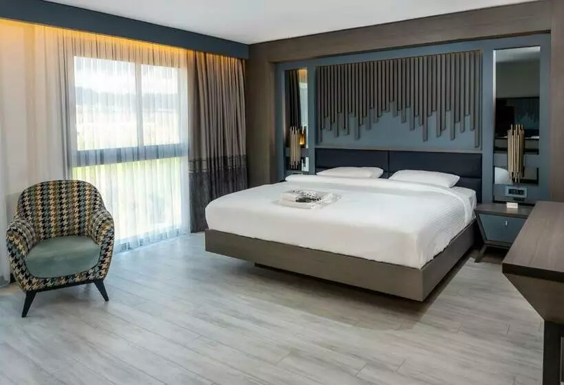 酒店 Anemon Aydın