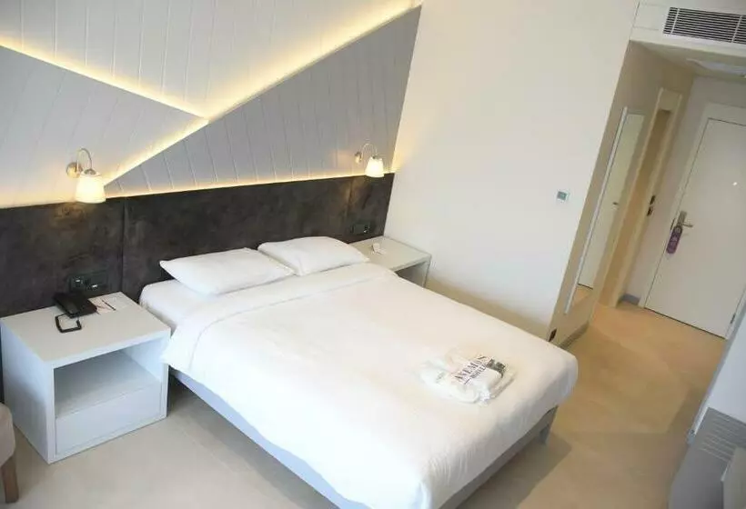 酒店 Anemon Aydın