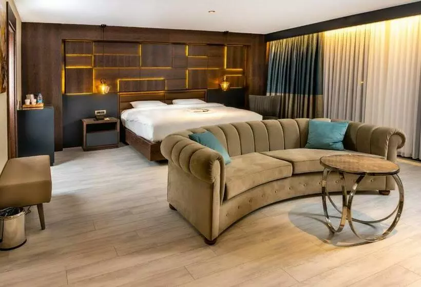 酒店 Anemon Aydın