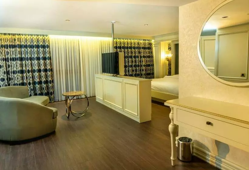 酒店 Anemon Aydın