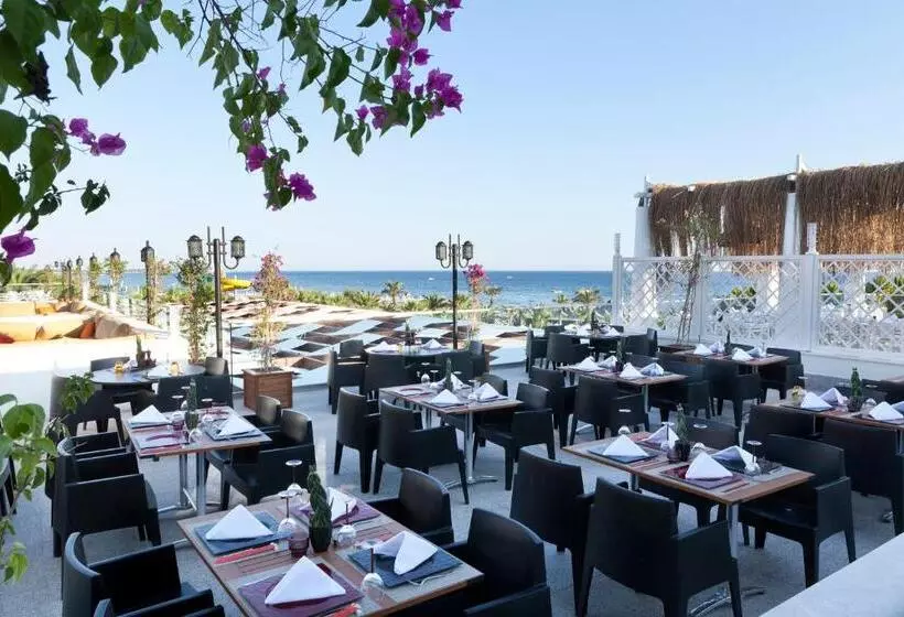 Курорт Paloma Oceana