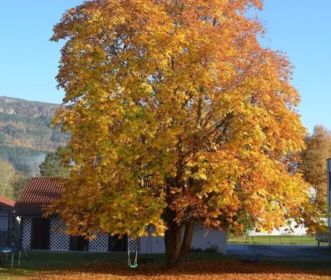 Innvik Fjordhotel   Misjonheimen
