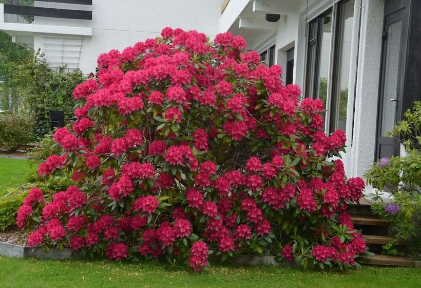 Innvik Fjordhotel   Misjonheimen