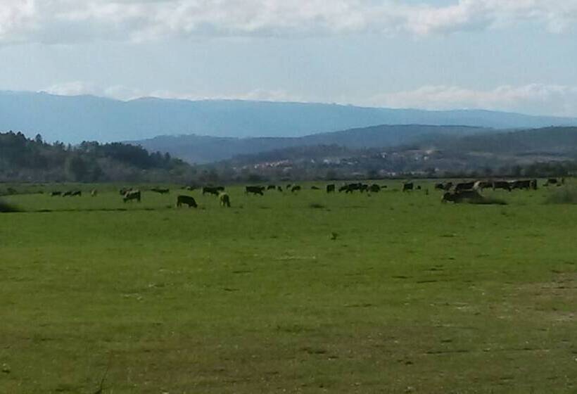 Пансион Meimoa Guesthouse