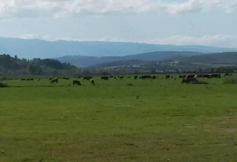 Majatalo Meimoa Guesthouse