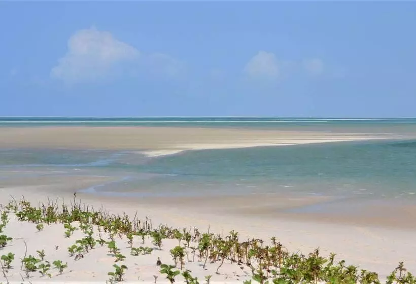 ホテル Moyeni Lodge