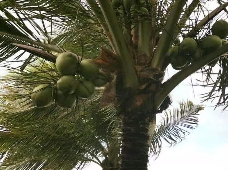 Hotelli Pousada Zorzi Beach