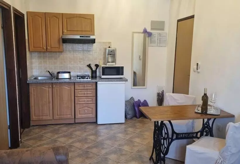 田舎風ホテル Agroturizam Stelio