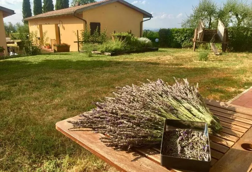 田舎風ホテル Agriturismo Metina