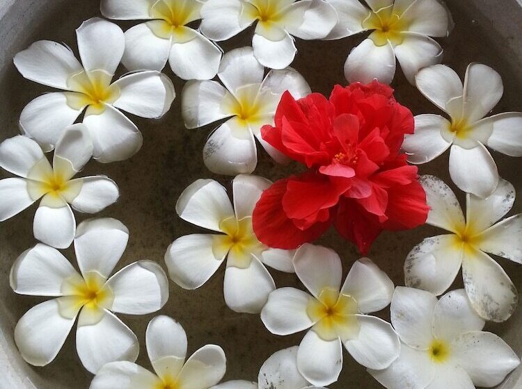 Отель Weligama Ocean Breeze