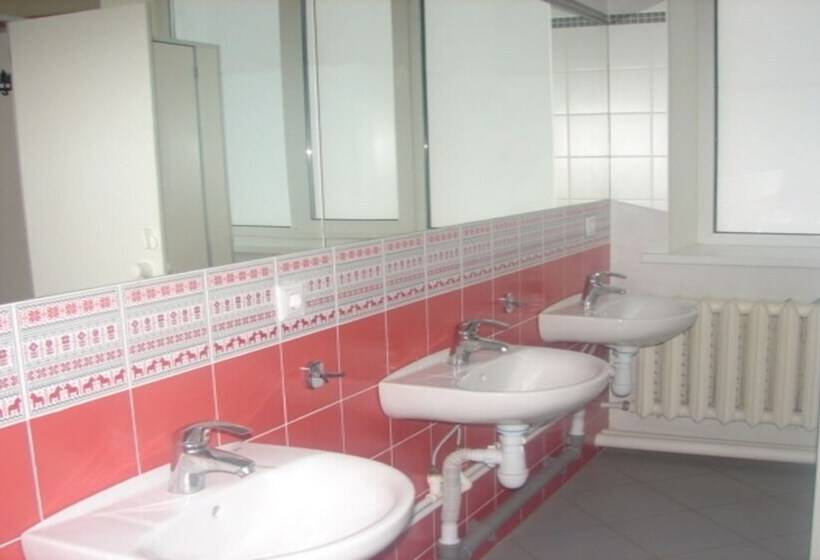 Ocharovannyy Strannik Hostel