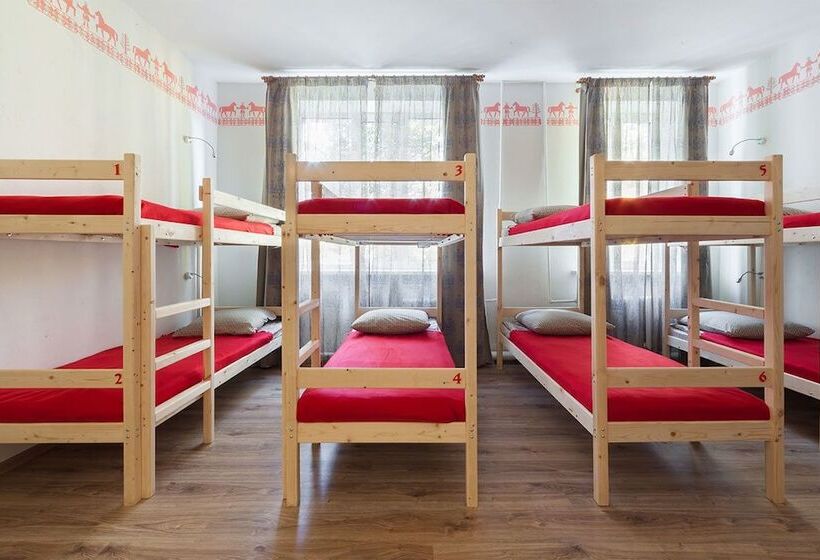 Ocharovannyy Strannik Hostel