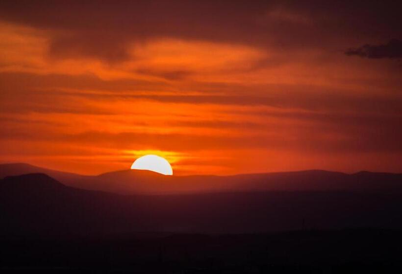 Ris Dalma Collection Yerevan