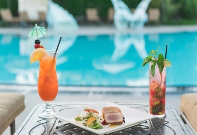 酒店 Aqua Dolphin Beach All Inclusive