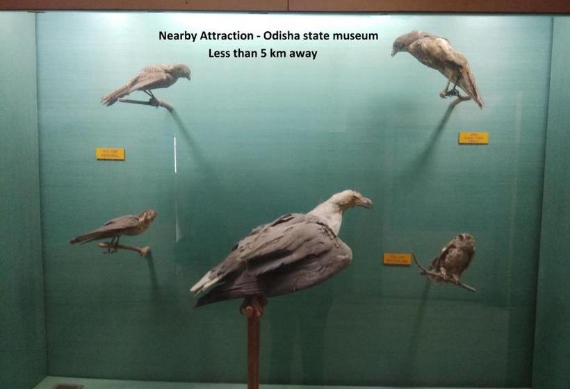 Hotel Jannat Palace By Oyo Rooms