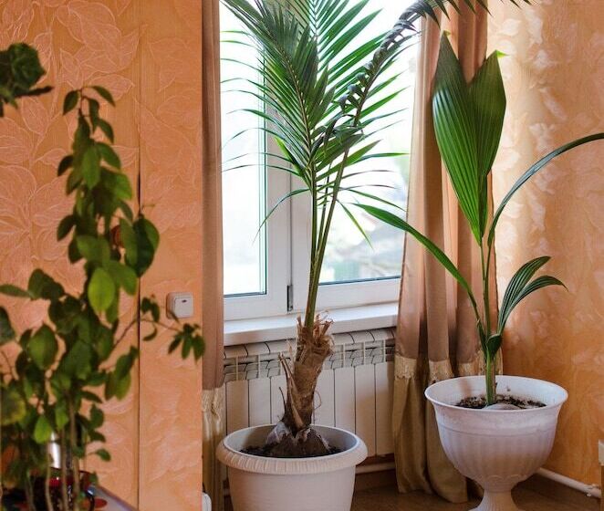 بنسيون Guest House Vostryakovo