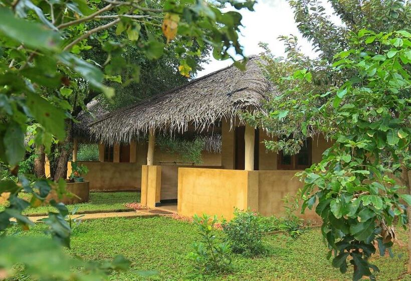 Pensione Niyagala Lodge