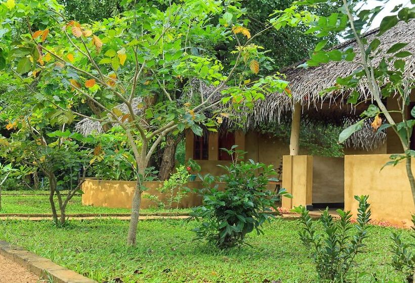 Pensione Niyagala Lodge