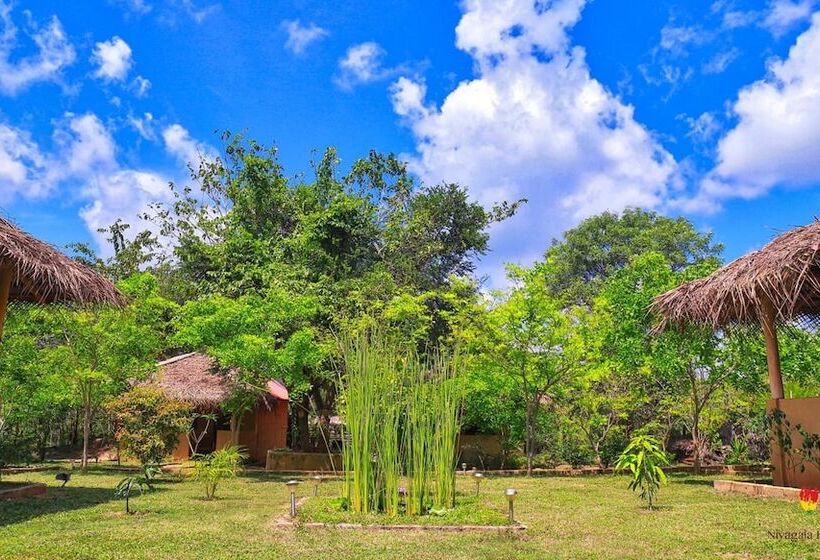 Pensione Niyagala Lodge
