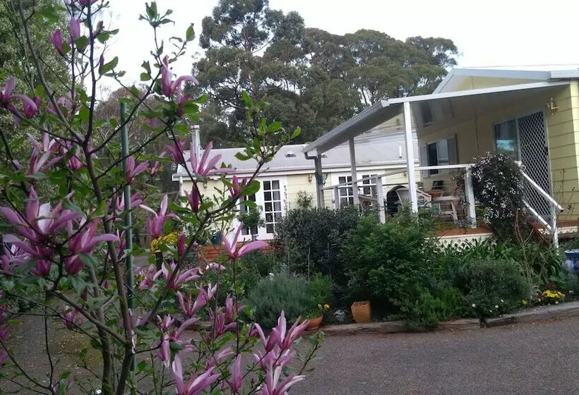 The Best Exotic Magnolia Cottage