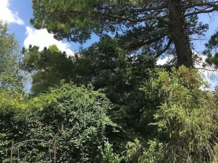 The Best Exotic Magnolia Cottage