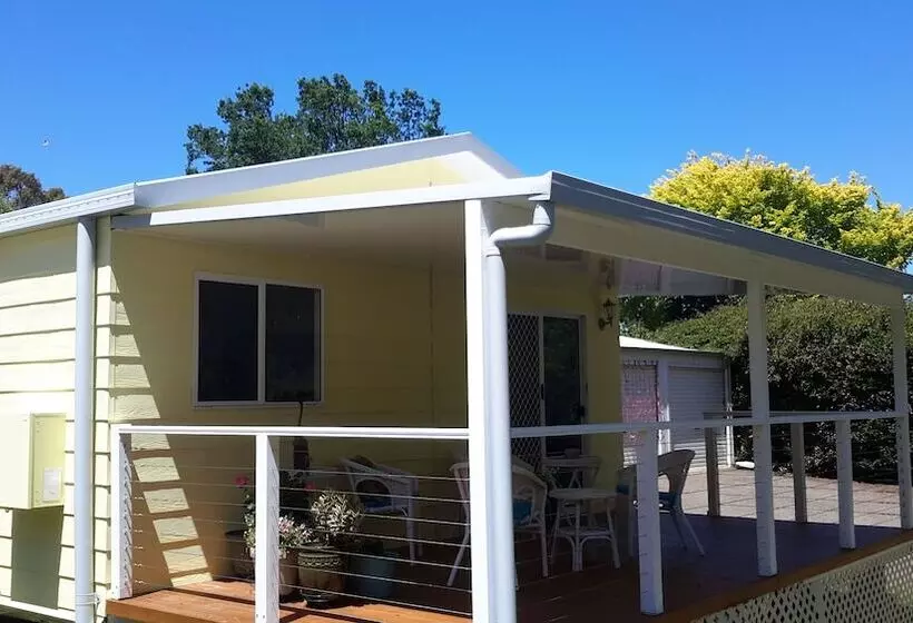 The Best Exotic Magnolia Cottage