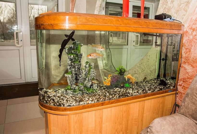 Yubileinaya Hotel   Hostel