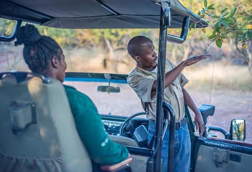 酒店 Dinkweng Safari Lodge