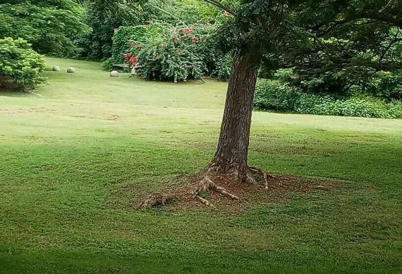 هتل Hix Island House