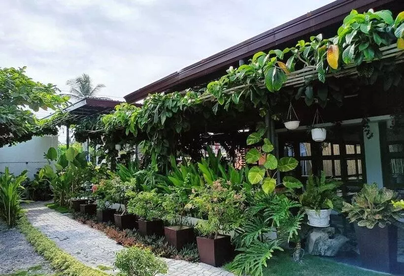 هتل Vivo Siargao
